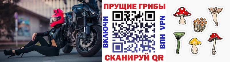 Псилоцибиновые грибы MAGIC MUSHROOMS  Бакал 