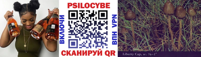 Галлюциногенные грибы мухоморы Бакал